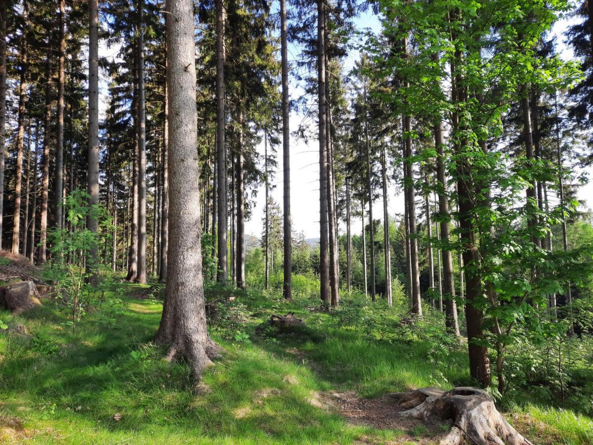 Apartman Mezi Stromy Rokytnice nad Jizerou Luaran gambar