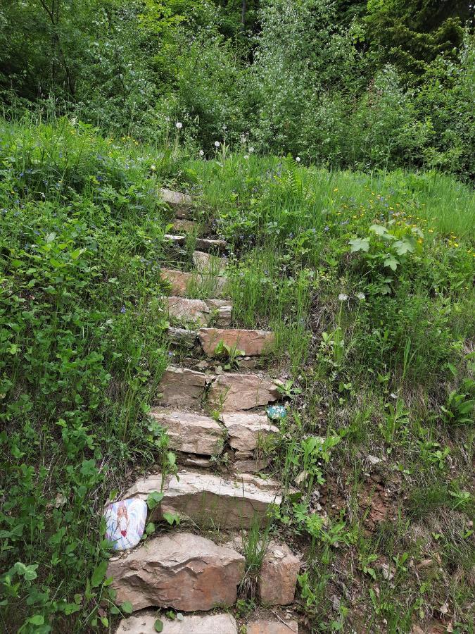 Apartman Mezi Stromy Rokytnice nad Jizerou Luaran gambar