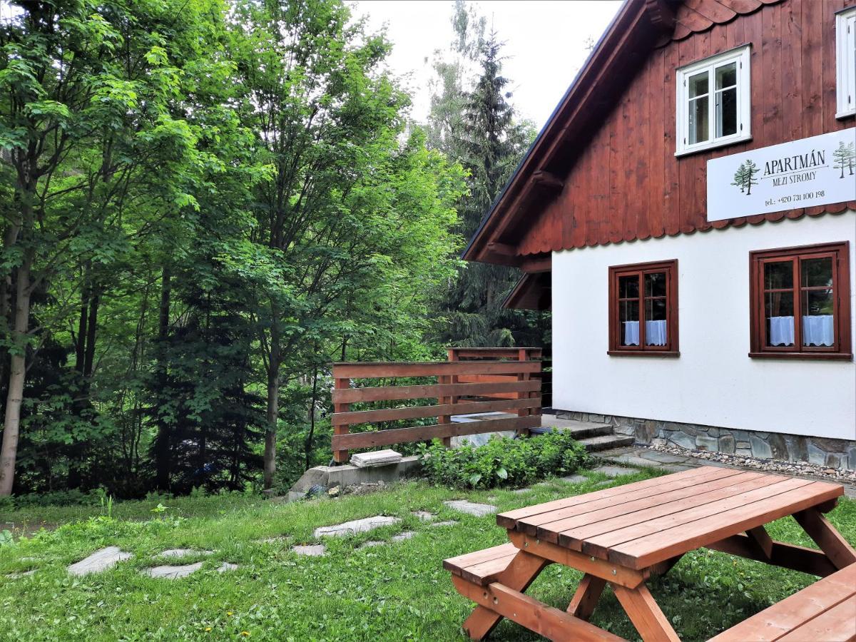 Apartman Mezi Stromy Rokytnice nad Jizerou Luaran gambar