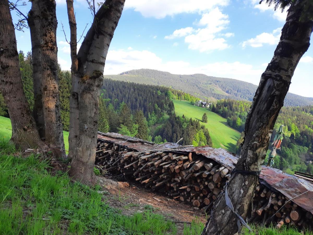 Apartman Mezi Stromy Rokytnice nad Jizerou Luaran gambar